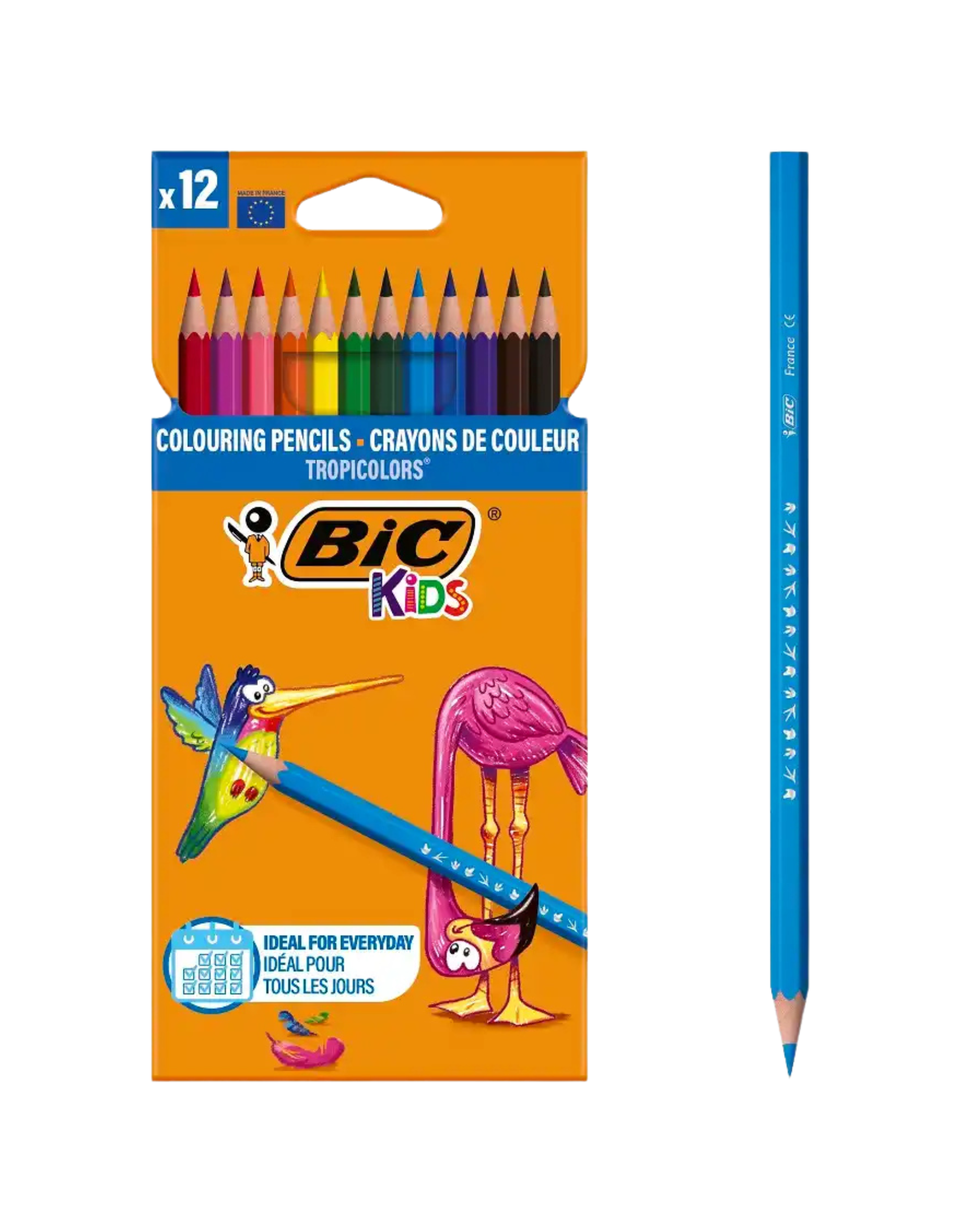 CRAYON COULEUR BIC KIDS 12 UNITÉS